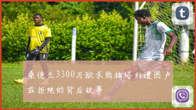桑德兰3300万欧求购梅塔利遭图卢兹拒绝的背后故事